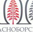 Стали известны номера купонов победителей конкурса-викторины к 100-летию Красноборского района - Сетевое издание Знамя. Красноборский район