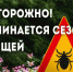 Управление Роспотребнадзора по Архангельской области информирует о предстоящем сезоне активности клещей.. - Красноборский муниципальный округ