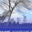 Метеопредупреждение № 26. - Красноборский муниципальный округ