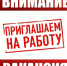 В администрацию Красноборского округа требуется главный специалист отдела культуры и туризма со знанием экономической деятельности. - Красноборский муниципальный округ